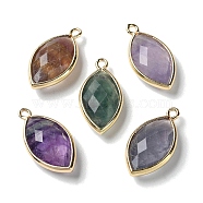 Natural Fluorite Pendants, with Platinum Brass Edge, Faceted, Horse Eye, 22x12x5.5mm, Hole: 1.8mm(G-B009-01G-03)