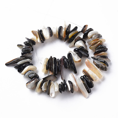 Natural Black Lip Shell Bead Strands(SSHEL-N304-102)-2