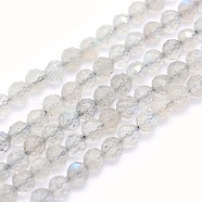 Natural Labradorite Beads Strands, Round, Faceted, 3mm, Hole: 0.5mm, about 117~130pcs/strand, 15.3 inch(39cm)(G-O166-22-3mm)