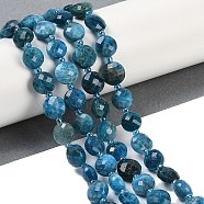 Natural Apatite Beads Strands, Faceted, Flat Round, with Seed Beads, 9.5~10x5~6mm, Hole: 1mm, about 32~34pcs/strand, 15.75~14.96 inch(38~40cm)(G-B094-A26-01)