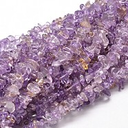 Natural Ametrine Chip Beads Strands, 5~14x4~10mm, Hole: 1mm, about 15.5 inch~16.1 inch(X-G-E271-95)