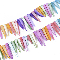 Freshwater Shell Beads Strands, Dyed, Tusk Shape, Colorful, 19~42x4~8x3~6mm, Hole: 1mm, about 58pcs/strand, 14.37 inch(36.5cm)(SHEL-S276-29B)