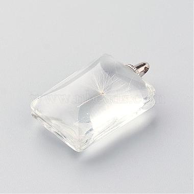 Rectangle Alloy Glass Pendants(GLAA-Q047-18x25-01P)-3