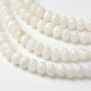 Dyed Natural Freshwater Shell Rondelle Bead Strands, Old Lace, 6x4mm, Hole: 1mm, about 91pcs/strand, 15.6 inch(BSHE-O016-19D)