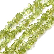 Natural Peridot Beads Strands, Chip, Grade A, Olive, 3~5x7~13x2~4mm, Hole: 0.4mm, , 16 inch.(G-F328-34A)