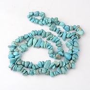 Dyed Natural Green Turquoise Stone Bead Strands, Chip, 8~18x6~12x3~7mm, Hole: 1mm, about 160pcs/strands, 34.6 inch(X-G-R192-B23)