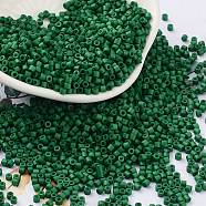 Baking Paint Glass Seed Beads, Cylinder, Dark Green, 2x1.5mm, Hole: 1mm, about 5599pcs/50g(X-SEED-S042-05B-66)