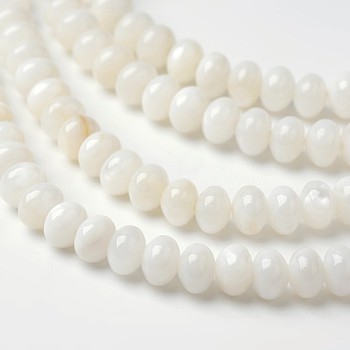 Dyed Natural Freshwater Shell Rondelle Bead Strands, Old Lace, 6x4mm, Hole: 1mm, about 91pcs/strand, 15.6 inch