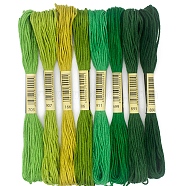 8 Skeins 8 Colors 6-Ply Polyester Embroidery Floss, Cross Stitch Threads, Tassel Embroidery, Gradient Color, Green, 2mm, about 8.20 Yards(7.5m)/Skein(PW-WG88461-05)