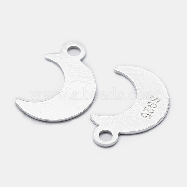 925 Sterling Silver Charms(STER-I014-19S)-2