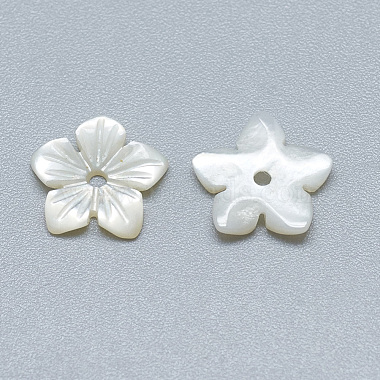 Natural White Shell Beads(SSHEL-S260-006)-2