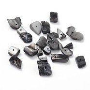 Natural Freshwater Shell Chips Beads, Shell Shards, Dyed, Dark Gray, 8~17x5~7x4~6mm, Hole: 1mm, about 640pcs/500g(BSHE-S007-9)