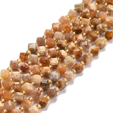 Rhombus Natural Coral Beads