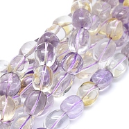 Natural Ametrine Beads Strands, Drum, 15~19x12~13mm, Hole: 1mm; about 25pcs/strand, 15.75 inches(40cm)(G-D0010-19C)