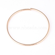 Round/Circular Ring Iron Purse Handles, for Bag Making, Purse Making, Handle Replacement, Golden, 110.5x4mm(FIND-WH0056-08G)