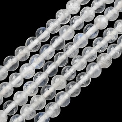 Natural Rainbow Moonstone Beads Strands, Round, 3~3.5mm, Hole: 0.6mm, about 111pcs/strand, 15.20 inch(38.6cm)(G-G0005-B03-B)