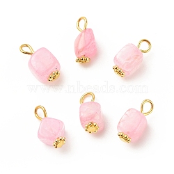 Natural Agate Cube Charms with Golden Tone Iron Loops, Dyed & Heated, Pink, 14mm, Hole: 3.5mm(PALLOY-JF01586-20A)