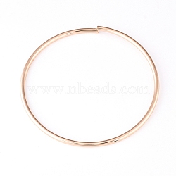 Round/Circular Ring Iron Purse Handles, for Bag Making, Purse Making, Handle Replacement, Golden, 110.5x4mm(FIND-WH0056-08G)
