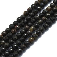 Natural Biotite Beads Strands, Round, 4mm, Hole: 0.8mm, about 100pcs/strand, 15.75''(40cm)(G-P457-C01-01)