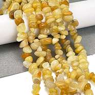 Natural Topaz Jade Chip Beads Strands, 5~8x5~8mm, Hole: 1mm, about 31.5 inch(G-M205-16A)