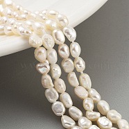 Natural Keshi Pearl Cultured Freshwater Pearl Beads Strands, Baroque Pearls, Two Sides Polished, Grade 3A, Old Lace, 3~4mm, Hole: 0.5mm, about 33pcs/strand, 7.09''(18cm)(PEAR-P062-25B)