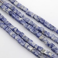 Cube Natural Blue Spot Jasper Beads Strands, 4x4x4mm, Hole: 1mm, about 85~100pcs/strand, 15.3 inch~15.8 inch(G-P057-05)