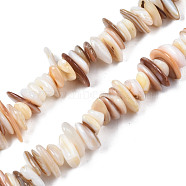 Natural Freshwater Shell Beads Strands, Chips, Seashell Color, 0.4~4x6.5~20x4.5~8.5mm, Hole: 0.7~0.8mm, about 301~340pcs/strand, 30.94 inch~32.36 inch(78.6cm~82.2cm)(SHEL-S278-071D)