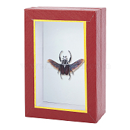 Wood Storage Box, with Varnished Cloth Liner, Transparent Glass Window Box, Jewelry Display Organizer Keepsake Box, Rectangle, Coconut Brown, 18x12.3x5.5cm(CON-WH0079-56)