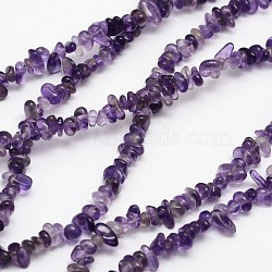 Chips Natural Amethyst Beads Strands, 3~8x3~12x3~5mm, Hole: 1mm, about 32 inch(X-G-N0164-62)