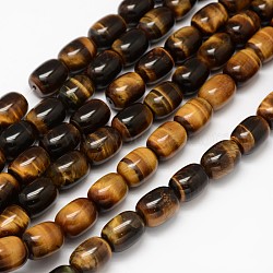 Natural Tiger Eye Barrel Beads Strands, 13x8mm, Hole: 1mm, about 32pcs/strand, 15.3 inch(G-F240-01D)
