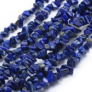 Natural Lapis Lazuli Beads Strands, Grade A, Chip, 5~8mm, Hole: 1mm, about 33 inch(84cm)(X-G-P332-50)