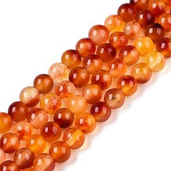 Dyed Natural White Jade Beads Strands, Two Tone, Round, Dark Orange, 4.5x4~4.5mm, Hole: 0.8mm, about 90~91pcs/strand, 14.76~14.92''(37.5~37.9cm)(G-T140-4mm-A13)