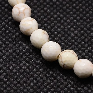 Natural Magnesite Beads Strands(TURQ-L017-10mm-02A)-2