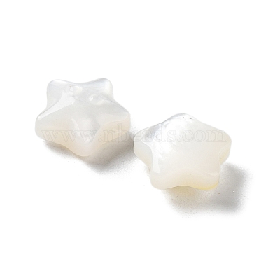 Natural White Shell Beads(SHEL-M020-02A)-3
