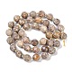 brins de perles fossiles de conque naturelle(G-G182-B37-03)-3