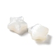 Natural White Shell Beads(SHEL-M020-02A)-3