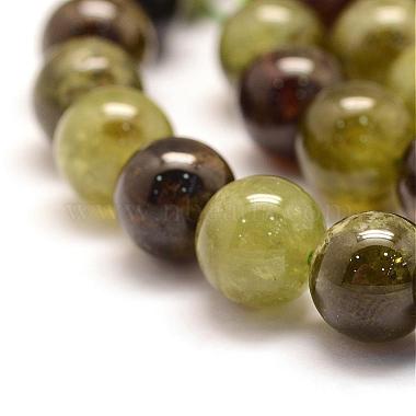 Natural Green Garnet Beads Strands(G-G661-10mm)-3