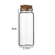 Glass Bottle(CON-WH0085-72F)-1