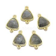 Natural Labradorite Links connectors, with Golden Tone Brass Findings, Triangle, Faceted, 17~18x11~13x4~6mm, Hole: 1.2mm(G-O177-16E-G)