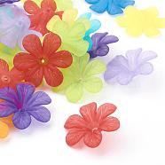 Transparent Acrylic Beads, Frosted, Flower Bead Caps, Mixed Color, 30x8mm, Hole: 1.5~2mm, about 314pcs/500g(PAF154Y)
