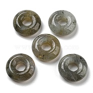 Natural Labradorite Pendants, Donut/Pi Disc Charms, 15~16x4~5mm, Hole: 4~5mm(G-C066-02C)