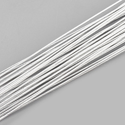 Round Iron Wire, Floral Wire, for Florist Flower Arrangement, Bouquet Stem Warpping and DIY Craft, WhiteSmoke, 22 Gauge, 0.6mm, about 1-5/8 inch(40cm)/strand, 100 strand/bag(MW-S002-03F-0.6mm)