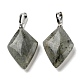 pendentifs labradorite naturelle(G-C066-03B)-2