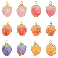 12Pcs 6 Colors Opaque Acrylic Charms, with Golden Plated Brass Finding, Strawberry, Mixed Color, 14x10x9.5mm, Hole: 1.5mm, 2pcs/color(MACR-OC0001-17)