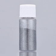 Shiny Laser Glitter Dust Powder, For UV Resin, Epoxy Resin Decorate & Nail Art Craft Jewelry Making, Gray, Bottle: 22x57mm, 5g/bottle(DIY-L034-02E)