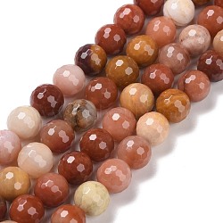 Natural Petrified Wood Beads Strands, Faceted(128 Facets), Round, 10mm, Hole: 1.2mm, about 37pcs/strand, 14.96''(38cm)(G-E571-15C)