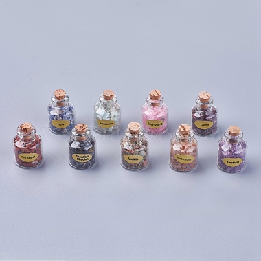 Bottles of Natural Gemstone Chip Beads(G-S049-2-B)-3