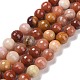 Chapelets de perles en bois pétrifié naturel(G-E571-15C)-1