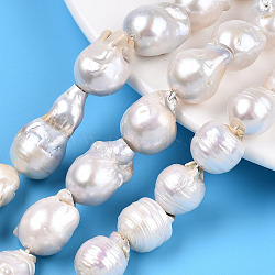 Natural Baroque Pearl Keshi Pearl Beads Strands, Cultured Freshwater Pearl, Nuggets, Seashell Color, 12~28x10~16x10~15mm, Hole: 0.6mm, about 24~34pcs/strand, 15.35 inch~15.75 inch(39cm~40cm)(PEAR-S019-02E)