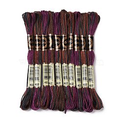 10 Skeins 6-Ply Polyester Embroidery Floss, Cross Stitch Threads, Segment Dyed, Indigo, 0.5mm, about 8.75 Yards(8m)/skein(OCOR-K006-A04)